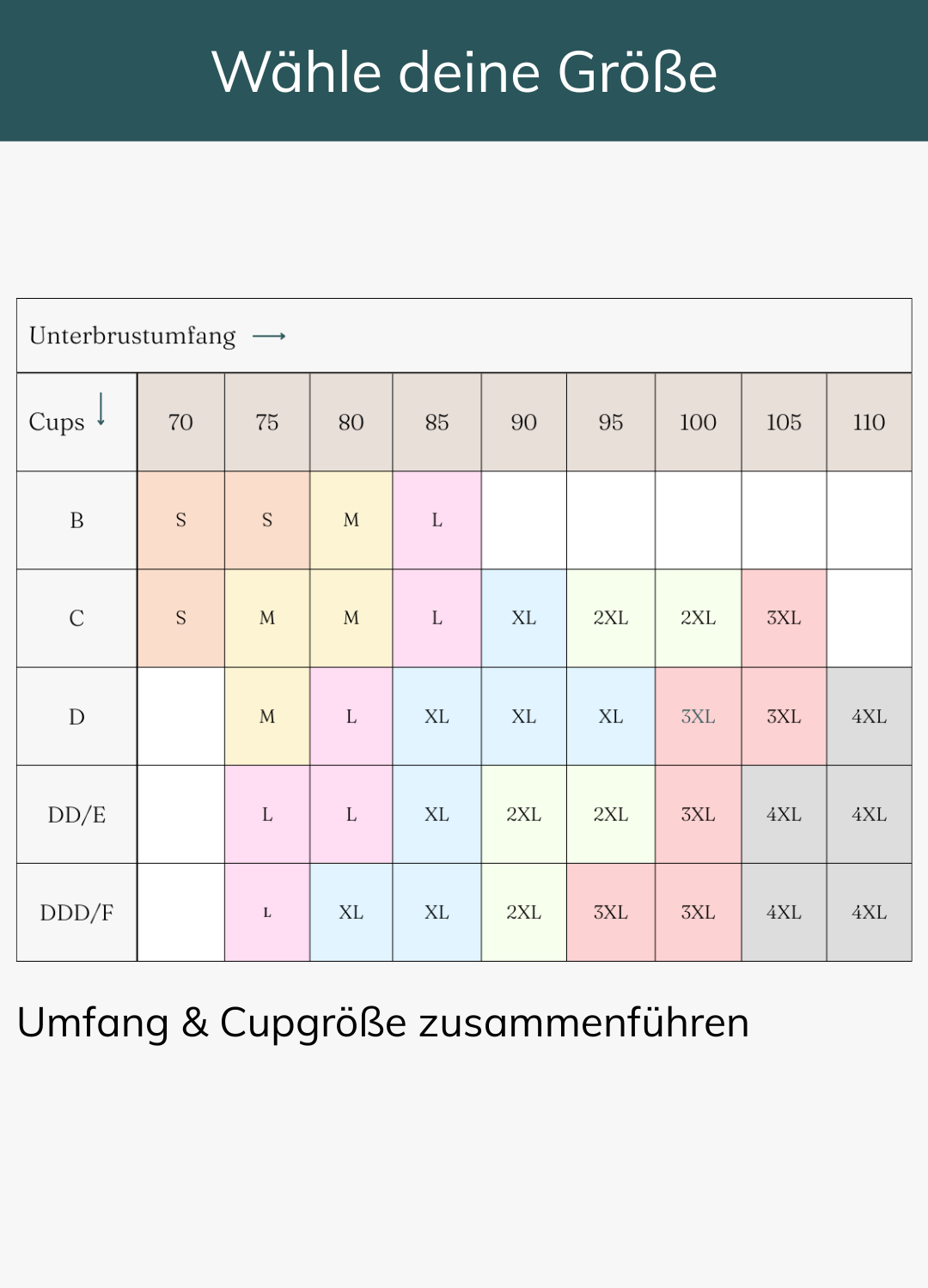 Everyday Comfort BH - Spezial Angebot
